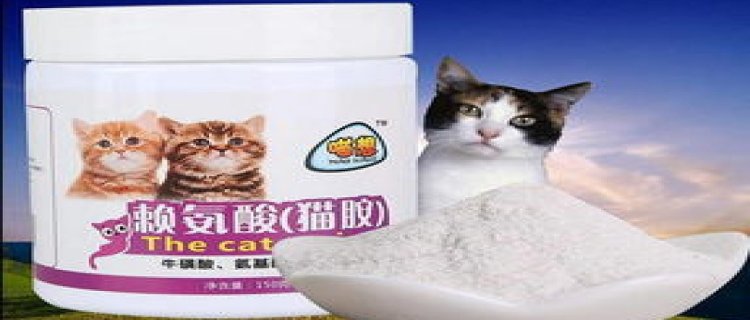 猫鼻子总是不通气似的是怎么回事