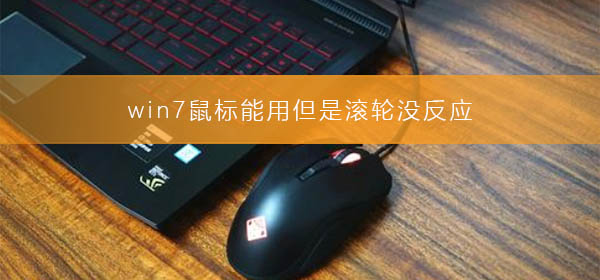 win7鼠标能用但是滚轮没反应