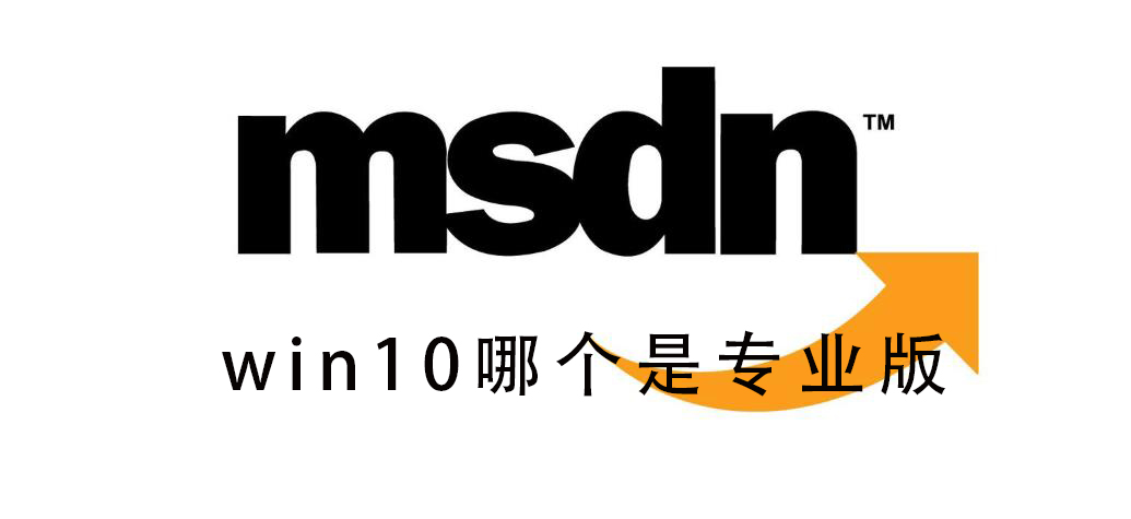 msdn我告诉你win10哪个是专业版