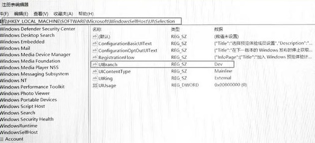 win11预览版推送时间详情