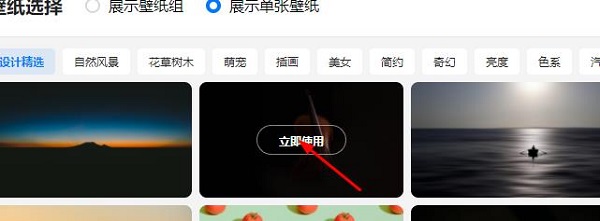 360极速浏览器x壁纸设置方式