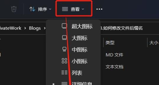 win11更改文件后缀教程