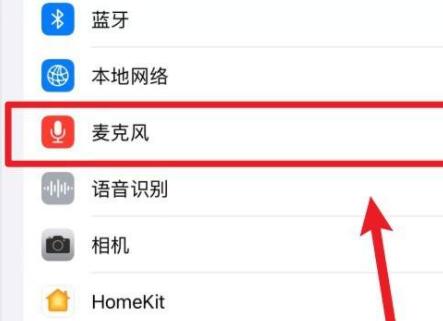 ipad麦克风打开教程