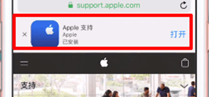 apple支持在哪