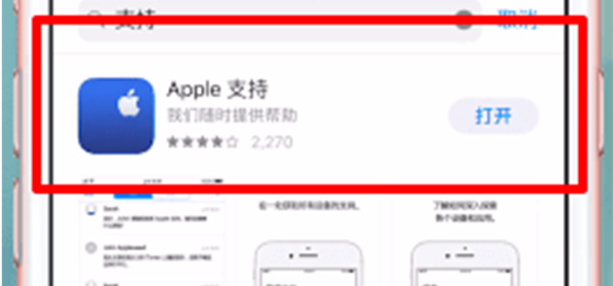 apple支持在哪