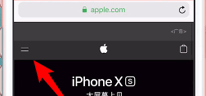 apple支持在哪