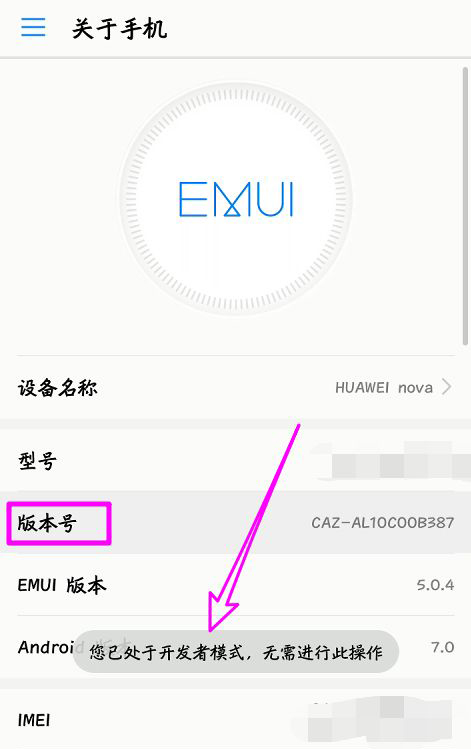 华为开发者选项在哪里