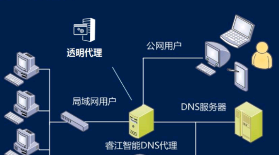 dns作用介绍