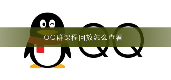 qq群怎么看课程回放(qq群语音通话怎么看回放)