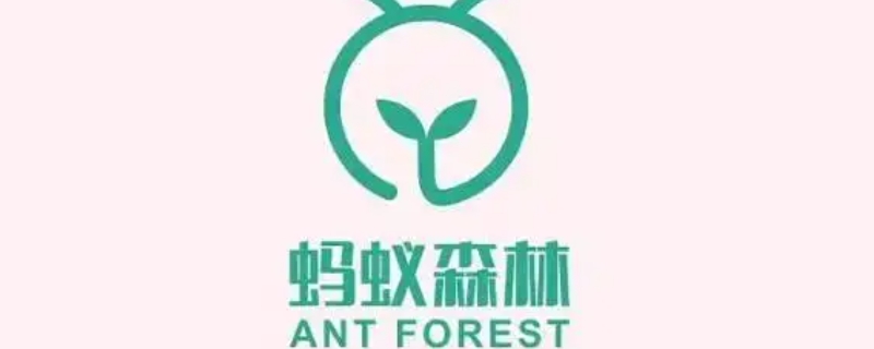 蚂蚁森林80g能量是什么产生的(蚂蚁森林能量产生规则80g)