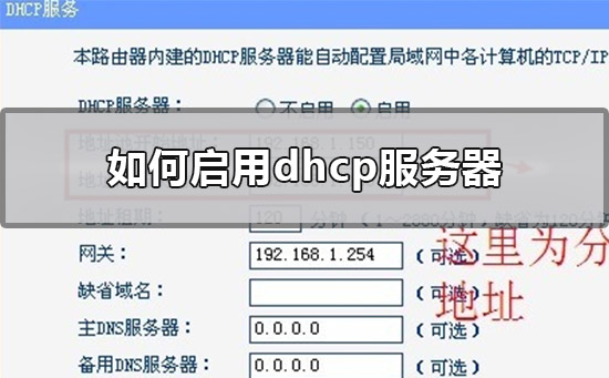 如何启用dhcp服务器(如何启用google play服务)