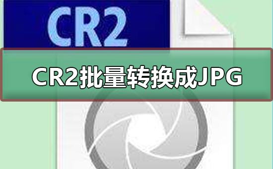CR2是什么格式(cr2是什么格式文件有什么用)