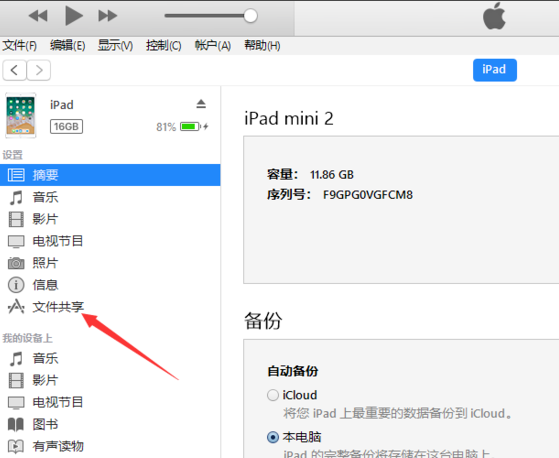 iTunes没有应用程序选项