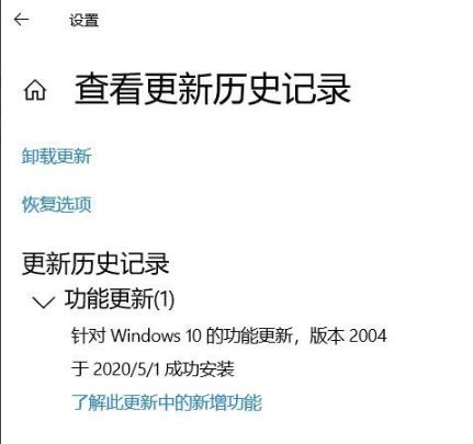 win102004绿屏解决方法