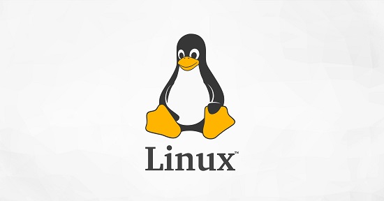 linux和windows共用的文件格式(windows和linux之间的文件格式)