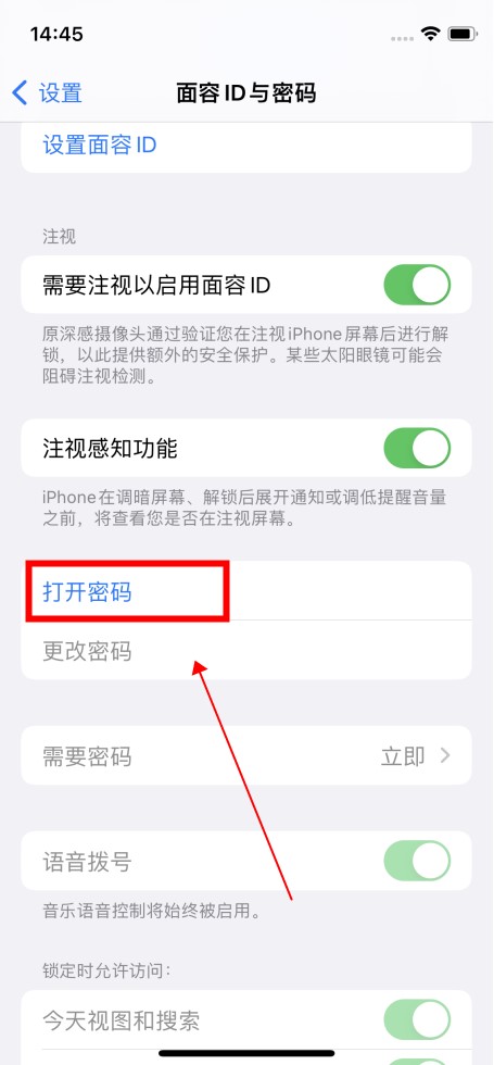 苹果手机开机密码怎么设置