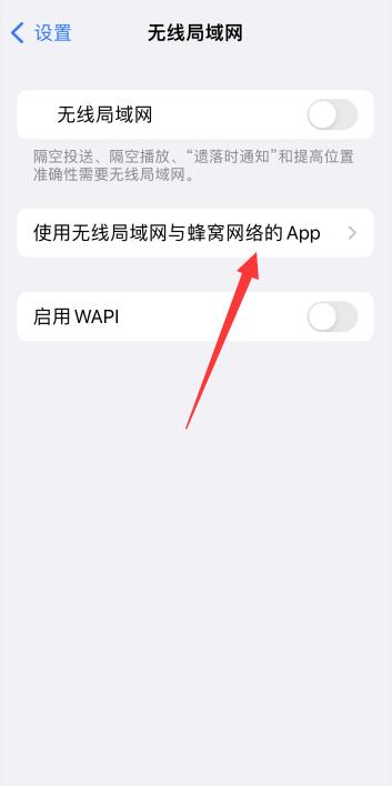 苹果手机接入互联网以登录iphone什么意思