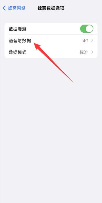 为什么苹果13没有5g开关