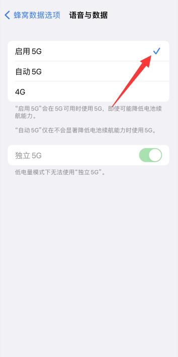 为什么苹果13没有5g开关