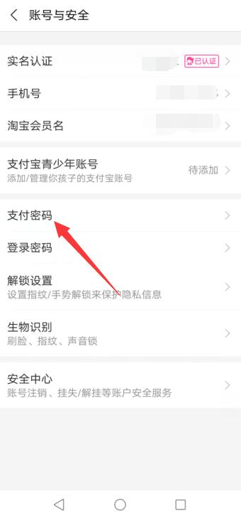 修改支付宝支付密码在哪里修改