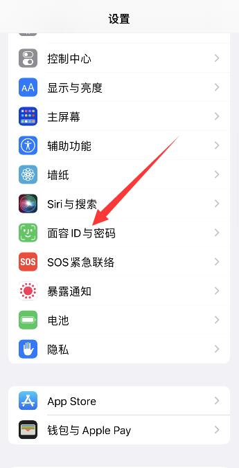 iphone12开发者选项设置在哪里