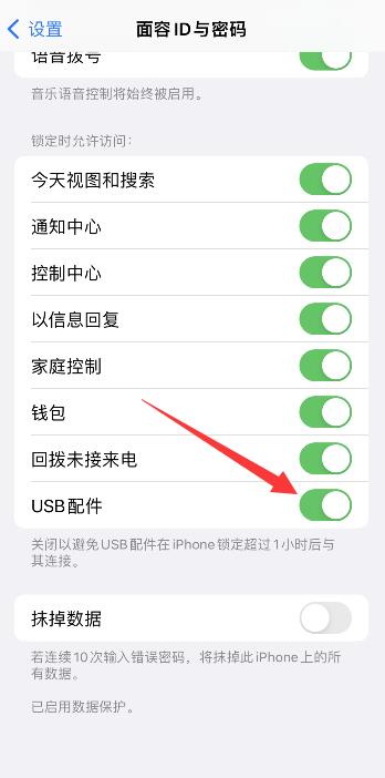 iphone12开发者选项设置在哪里