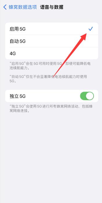 苹果13设置自动5G一直显示4G