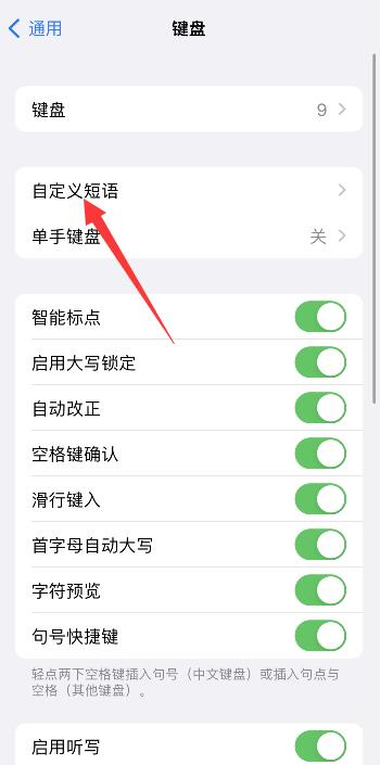 苹果手机自定义短语打不出来
