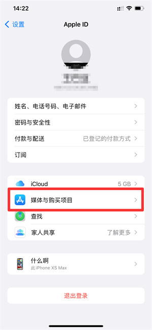 苹果app支付明细在哪里查询