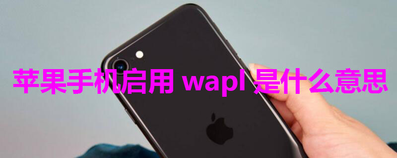 苹果手机启用wapl是什么意思