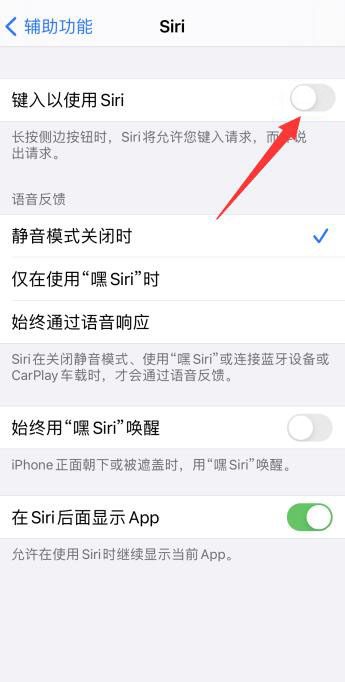 苹果11siri唤醒后不说话