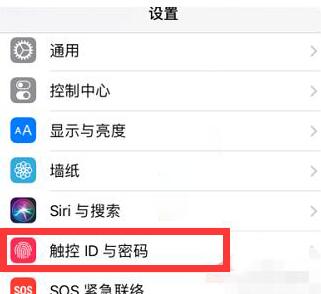 苹果手机怎么更改4g和5g(苹果手机怎么更改副号)