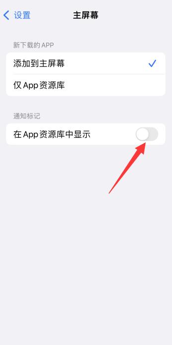 苹果app资源库可以隐藏吗