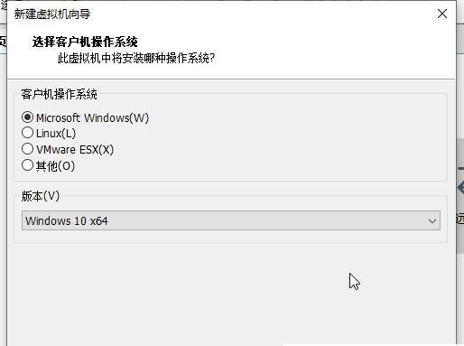 vm虚拟机怎么安装Win11系统？Win11系统安装到vm虚拟机详细图文教程