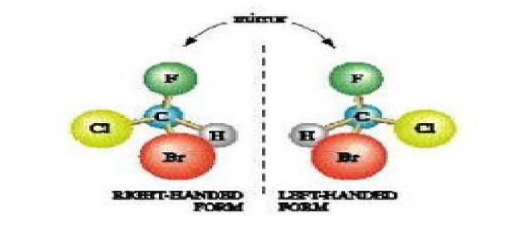 手性分子和手性碳原子的关系