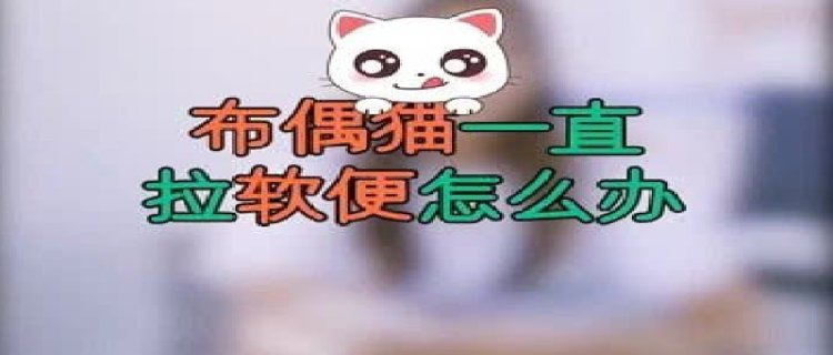 布偶猫软便原因是什么(布偶猫拉软便但是精神很好)