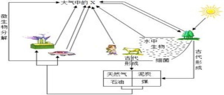 引起温室效应的气体