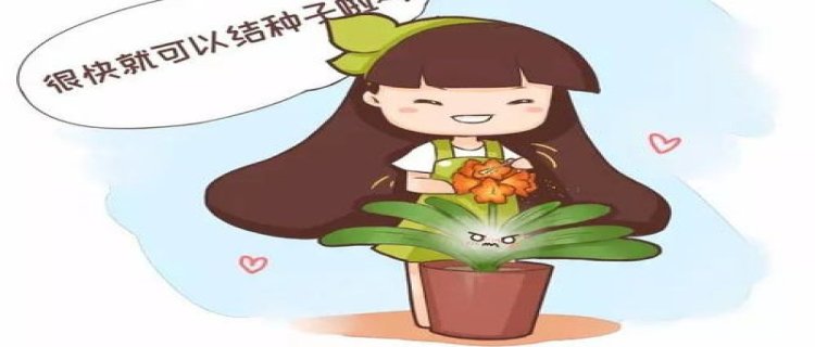 买什么不用花钱(买什么不用花钱脑筋急转弯)