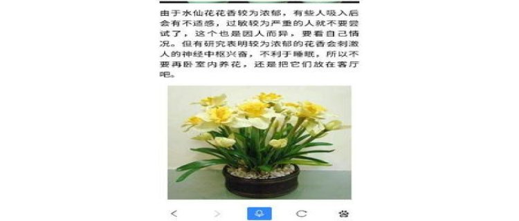 水仙花能放室内吗，在家怎么养？