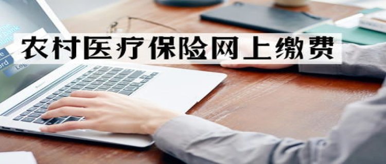 网上怎么缴纳农村合作医疗(手机怎么缴纳农村合作医疗)