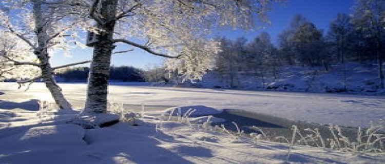 2024年北京会下雪吗(2024年什么时候下雪)