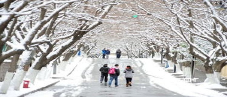 2023年吉林啥时候下雪 吉林下雪时间每年都一样吗