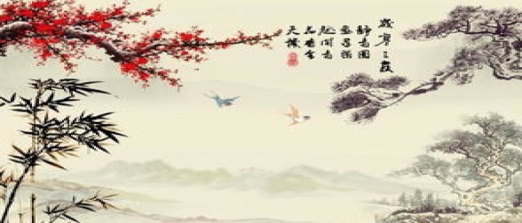 花中四君子和岁寒三友指的是什么(竹子是花中四君子)