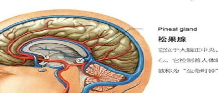 松果体开启最简单的方法步骤