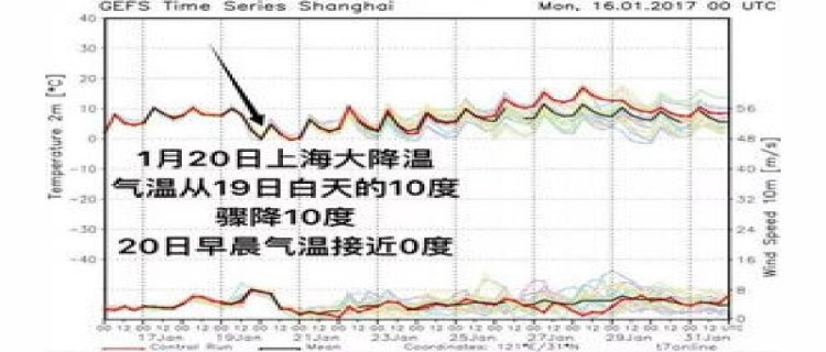 上海冬天气温最低是多少°C(上海冬天气温最低多少度)