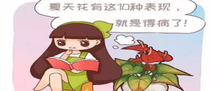 夏天花有这10种表现，就是得病了！再不管就死透啦！