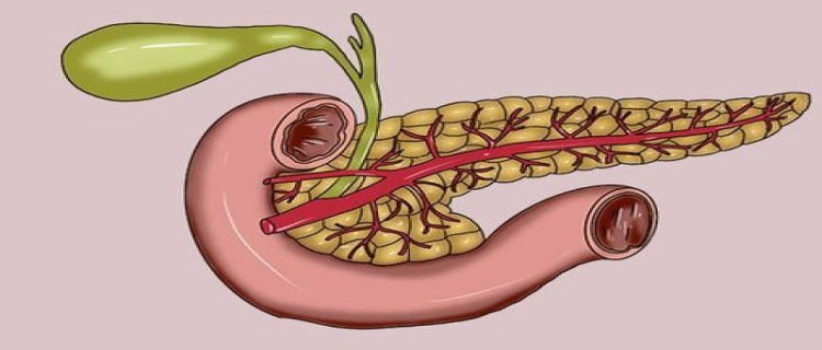 胰腺癌早期能发现吗(胰腺癌早期彩超能发现吗)