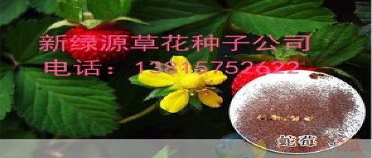 种子发芽的三个条件