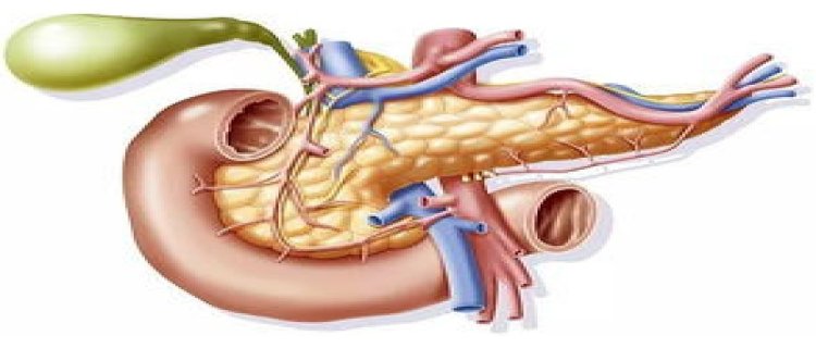 胰腺癌的早期信号是癌吗(女性胰腺癌早期信号)