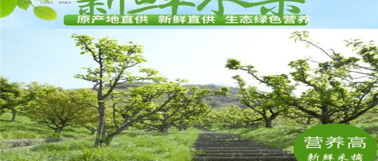 翠冠梨的种植方法和注意事项